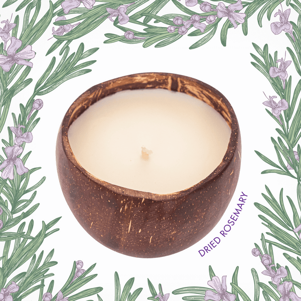 Dried Rosemary Coco-Candle - The Coconut People