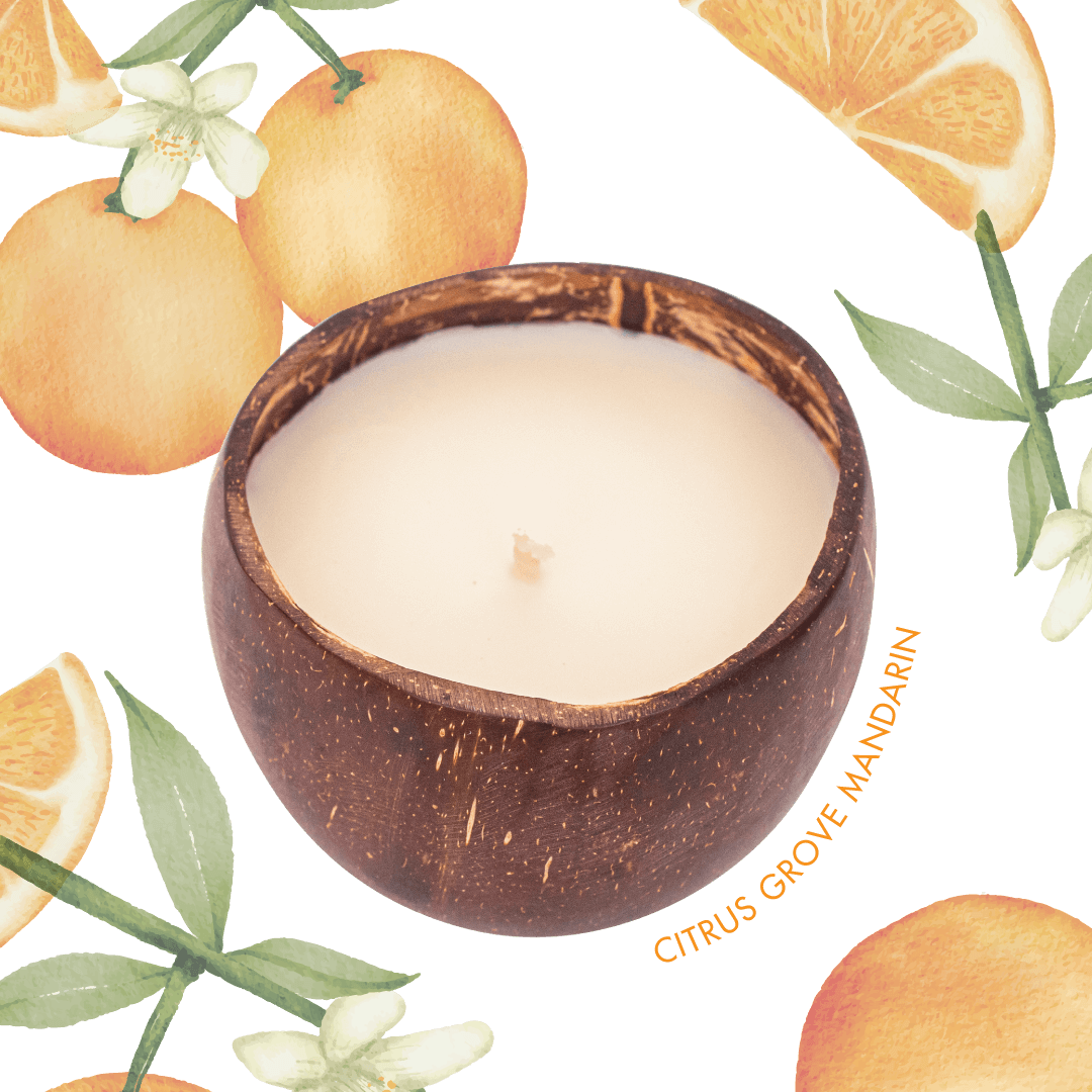 Citrus Grove Mandarin Candle - The Coconut People