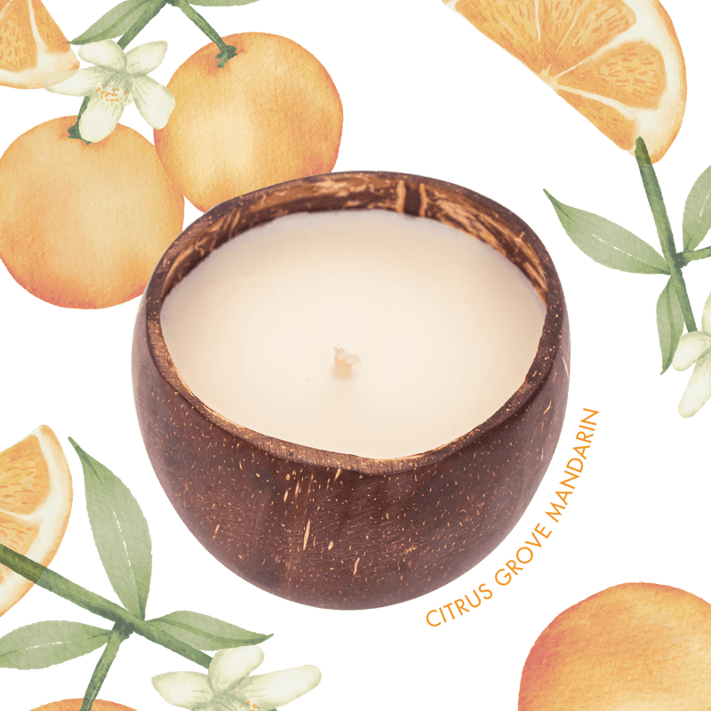Citrus Grove Mandarin Candle - The Coconut People