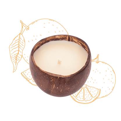 Citrus Grove Mandarin Candle - The Coconut People