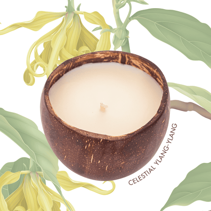 Ylang-Ylang Celeste Candle- The Coconut People
