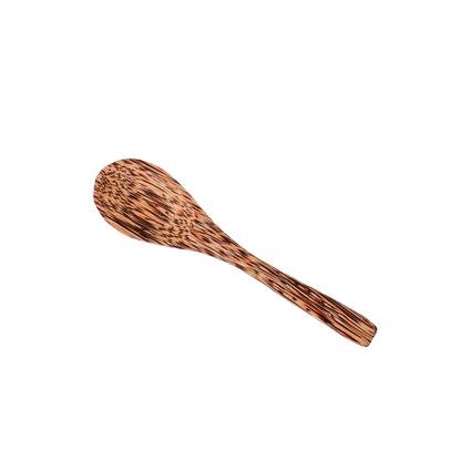 Coconut Wood Spoon