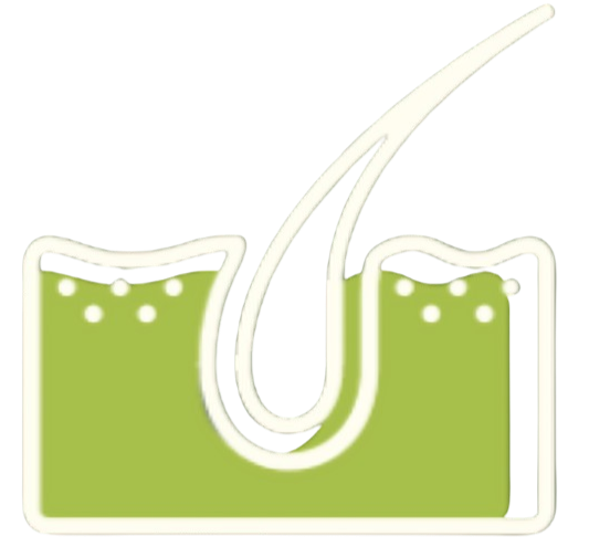 files/icon_H1__1___1_-removebg.png